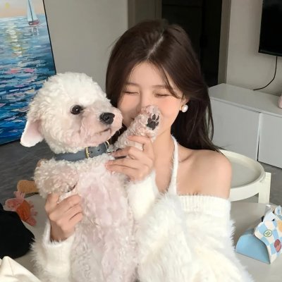 雾水总统